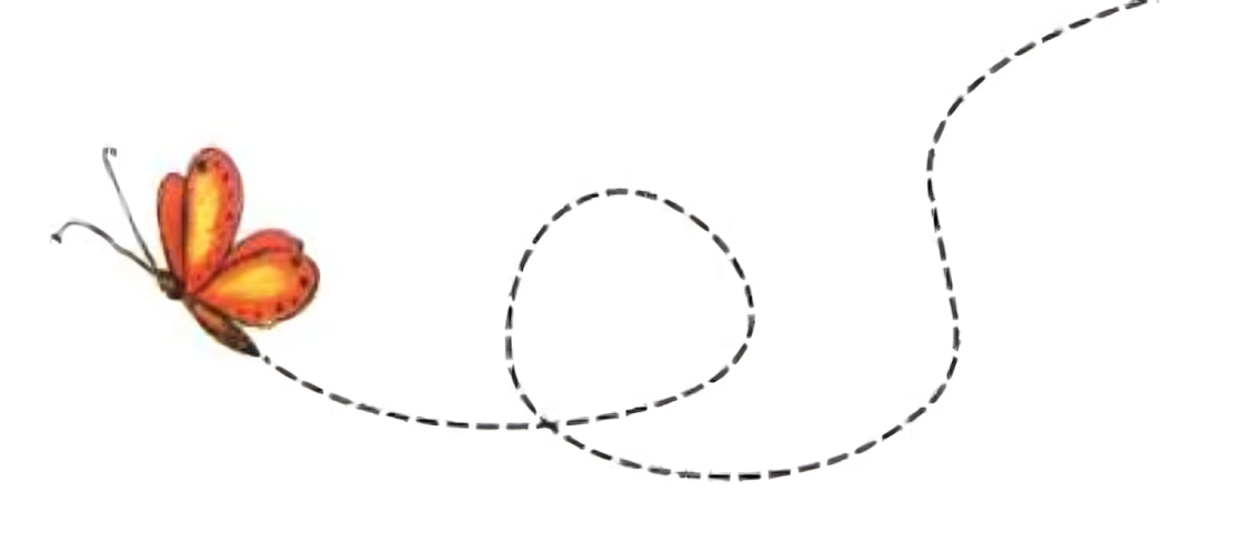 A line drawing of an airplane path.