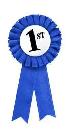 A blue ribbon with the number one in it.