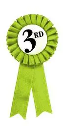 A green ribbon with the number three on it.