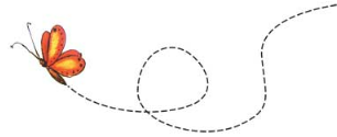 A line drawing of a plane with two lines drawn on it.